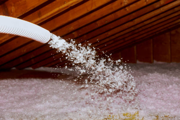 Best Commercial Insulation in Senath, MO