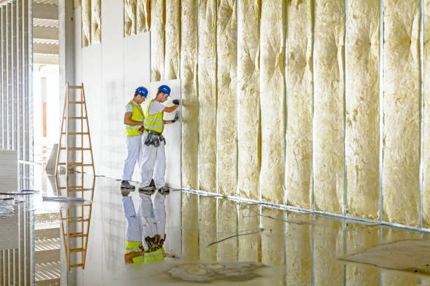 Best Types of Insulation in Senath, MO